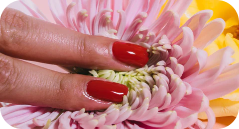 278850228_693474715304362_7740098291932517334_n